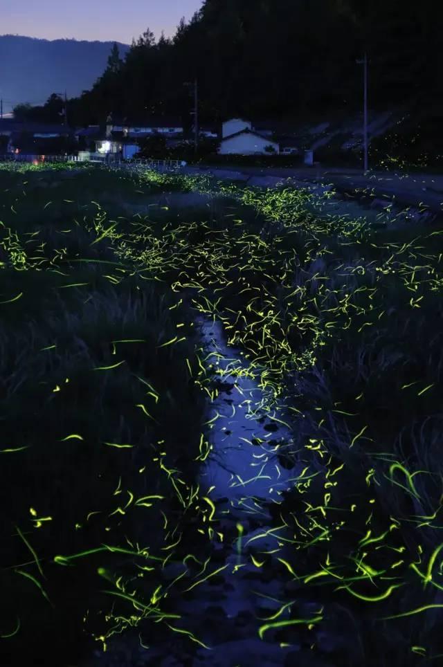 探索毛坯房墙皮要不要铲掉?毛坯房墙皮掉粉怎么处理?精彩内容,尽在毛坯房墙皮要不要铲掉?毛坯房墙皮掉粉怎么处理?红迪网
