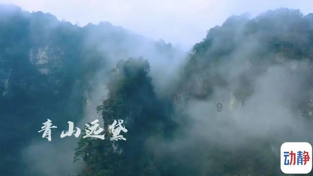 腐烂国度
